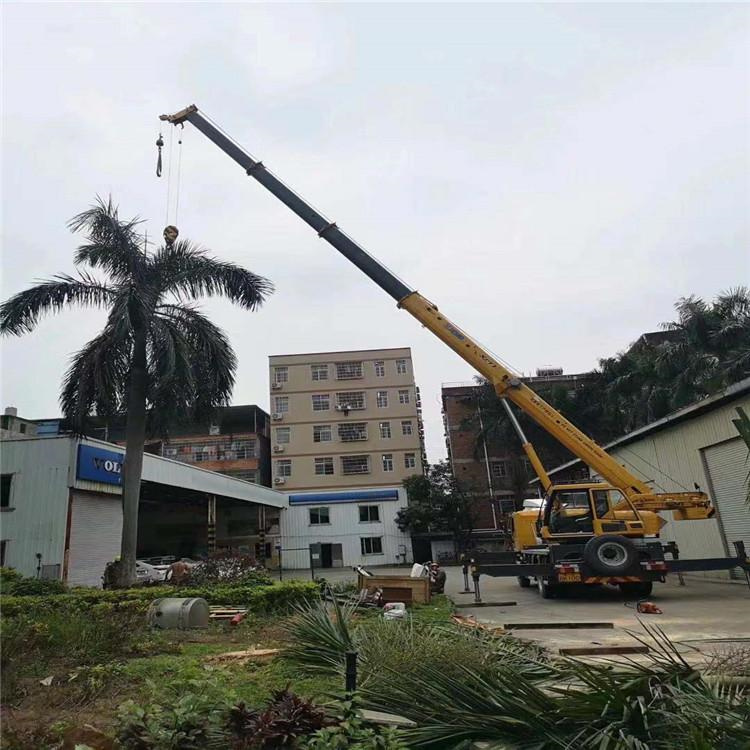 太康汽车吊出租多少钱？全面解析与市场行情